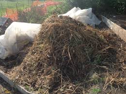 We did not find results for: C4qcfzdzv0rxtm