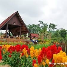 Kebun binatang ragunan adalah kebun binatang yang pertama di indonesia, lho! Akbar Zoo Banyuwangi Destinasi Wisata Sekaligus Sarana Edukasi Keluarga Di Jalan Raya Ijen