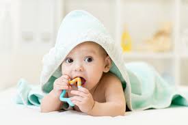 Beißringe für babys werden in vielen variationen angeboten. Beissringe Fur Babys Veilchenwurzel Net