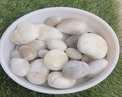 Hình ảnh về Sỏi biển trắng