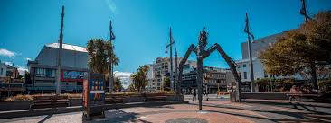 Jun 23, 2021 · in new zealand, wellington will move to a 'level 2' alert, or one short of a lockdown, until sunday midnight as a precaution against any potential outbreak. Delight Relief And Caution Six Experts On New Zealand S Move To Ease Its Coronavirus Lockdown