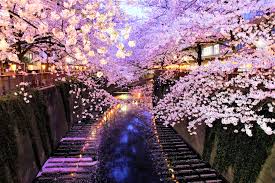15,305 likes · 17 talking about this. Top 10 Things To Do In Japan In April Japan Web Magazine