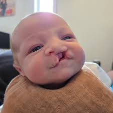 Frosted by Elisha is happy to announce the arrival of our newest crew  member