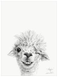 Pin On Llama Alpaca Art By Kristin Llamas