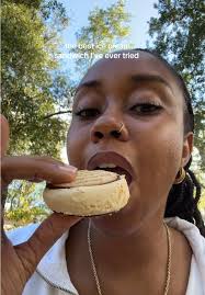 Mountain House Ice Cream Sandwich Review