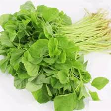 It is commonly prepared as main course during breakfast or lunchtime. Benih Sayur Vegetable Seeds Bayam Hijau Lazada