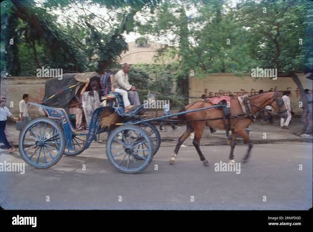 Horse cart mumbai india hi-res stock photography and images - Alamy