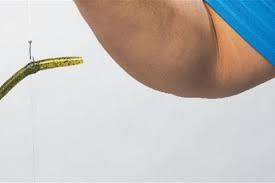 How to attach a quick release drop shot weight to your line. How To Rig A Wacky Rigger Worm On A Drop Shot Bass Pro Shops