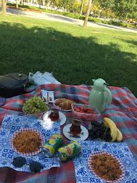 Denizcc Adli Kullanicinin Fake Story Panosundaki Pin Yaz Piknik Piknik Yemek Pornosu