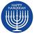 Modern Hanukkah Decorations