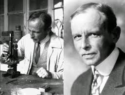 Construcción de Edificaciones: Edificaciones