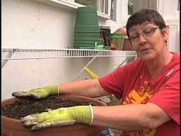 Choose plants with interesting flowers, colors and/or foliage. How To Plant Flowers In A Pot Youtube
