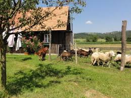 Ein gartenhaus wird überwiegend im sommer genutzt. 8443 Gleinstatten Leibnitz Steiermark Austria Oase Zum Verweilen Bauernhaus In Schoner Lage Haus Wolle Kaufen Willhaben