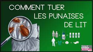 Maybe you would like to learn more about one of these? Comment Tuer Les Punaises De Lit Kit Traitement Professionnel Youtube