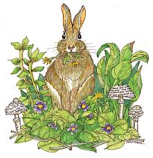 Beatrix Potter, Naturalist & Farmer - The Laurel of Asheville