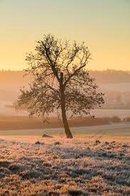 5 Tips For Capturing Nature Across Different Seasons Nature Photography Landscape Photography Nature
