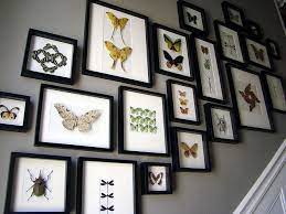 With or without the glass panes, vintage window frames can be used for a host of different diy projects and home decor ideas. Dsc05747 Sf Decorator Showcase Staircase Taxidermy Decor Frame Wall Collage Butterfly Frame