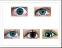 Salabencher Eye Color