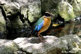 Mengikut perancangan, destinasi pertama hari ke tiga adalah kek lok si atau pun lebih dikenali dengan pagoda. 77 Tempat Menarik Di Penang Terbaru 2021 Destinasi Terbaik