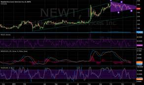 Newt Stock Price And Chart Nasdaq Newt Tradingview