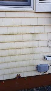 Clean Green Mold Off Vinyl Siding With Out A Pressure Washer Cleaning Vinyl Siding Vinyl Siding Clean Siding