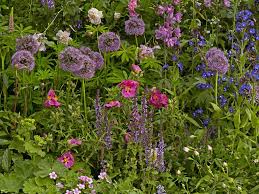 Maybe you would like to learn more about one of these? Cottage Garden Design Plants Structure And Planting Tips Saga