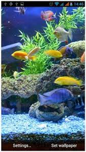 Aquarium Live Wallpaper Free App For Android Aquarium Live Wallpaper Aquarium Live Wallpapers