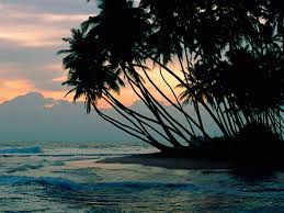 Colombo Sri Lanka Cool Places To Visit Beach Wallpaper Places To Visit