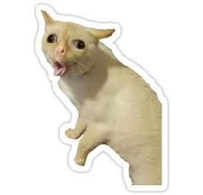 Cat Stickers Snapchat Stickers Fun Stickers