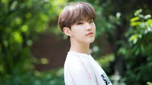 Want to discover art related to seventeenhoshi? Seventeen S Hoshi Announces Spider His First Mixtape Somag News