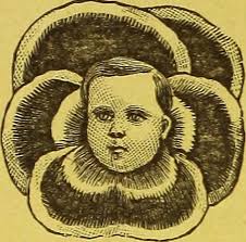 Image from page 5 of "Catalog of Goodell's choice seeds" (…