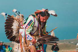 Can You Find Out If You Have Native American Ancestry? | Living Dna