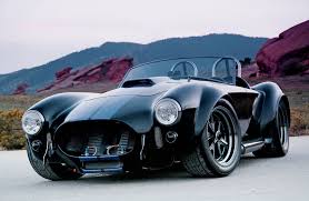 This is one of the nicest and accurate kit for a 1964 shelby cobra and built to race model specifications. 1965 Shelby Cobra Replica Snail Fed Serpent