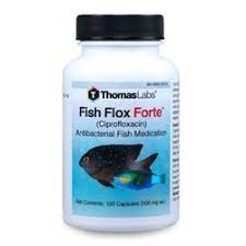 Medical Supplies For Emergencies Fish Antibiotics Temporary Dental Supplies And First Aid Kits All At Disc Fish Antibiotics Antibiotic Antifungal Medication