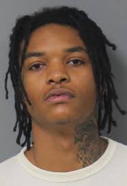 Berrien County Trial Court dismisses murder charge against Niles teen