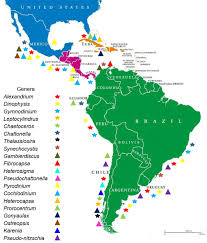 Imprimir y armar los 3 desarrollos planos de las páginas 7,8,9 The Latin America And Caribbean Hab Status Report Based On Obis And Haedat Maps And Databases Sciencedirect