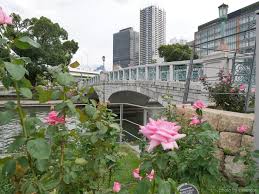 「中之島公園」の画像検索結果