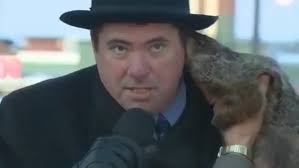 Groundhog bites mayor Jon Freund during traditional ceremony in Wisconsin