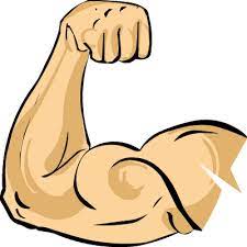 Pin On Muscle And Fitness
