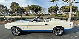 Image result for Cherry Blossom White 1972 Colt