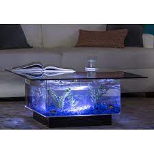 Archie Oscar Claire 25 Gallon Coffee Table Aquarium Tank Reviews Wayfair Bingkai Kayu Meja Ruang Tamu Aquarium