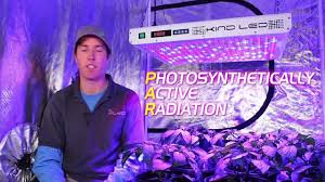 Led Grow Light Panels Shop With Gardensupplyguys