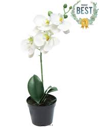 Orchidées d'indigo phalaenopsis artificielles, fausses fleurs blanches, pour un mariage, pour une décoration de fête de noël. Orchidee Phalaenopsis Artificielle En Pot Qualite Decorateur Artificielles Com