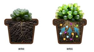 「Kanuma soil」の画像検索結果