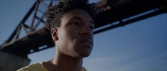 Cinematography — Cory C. Warner