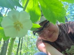 We are so excited to host Leah Wolfe, MPH Community Herbalist and Health  Educator, of the Trillium Center as a guest instructor in the new year.  Leah will bring her wealth of