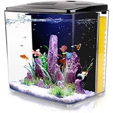 Amazon Com 1 4 Gallon Aquarium Starter Kits Aquariums Square Betta Fish Tank With Led Light And Filter Pump Kitchen Dining