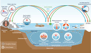 The intergovernmental panel on climate change (ipcc) is the leading international body for the assessment of climate change. Cryospheric Sciences Ice Hot News The Ipcc Special Report On The Oceans And The Cryosphere Under Climate Change