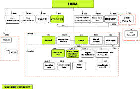 Item 4 Information On Fibria