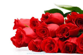 Valentine Day Flowers Hd Images Photos Pics Hd Walls Valentines Flowers Rose Day Pic Valentines Day Presents